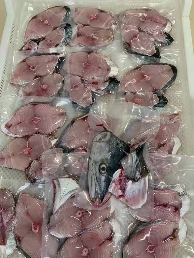 海南马鲛鱼产地展示